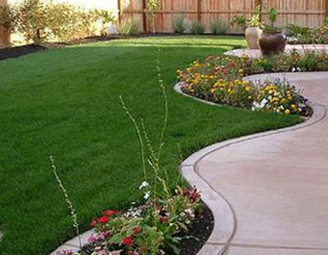 Landscape Design